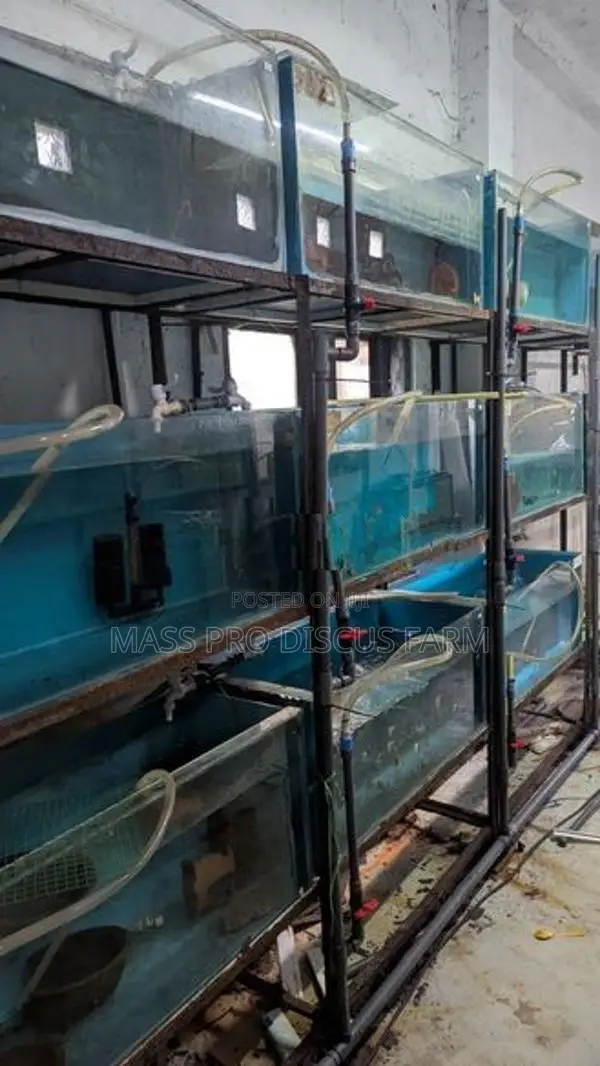 Fish Tanks Set with Stand