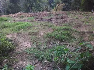 Diyatalawa – 20 Perches Scenic Land for Sale