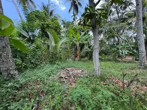 63 Perches Superb Land for Sale in Piliyandala Kesbewa