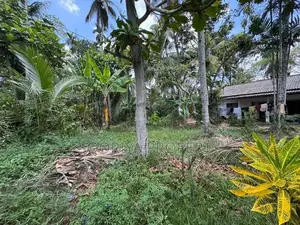 63 Perches Superb Land for Sale in Piliyandala Kesbewa