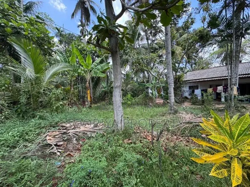 63 Perches Superb Land for Sale in Piliyandala Kesbewa