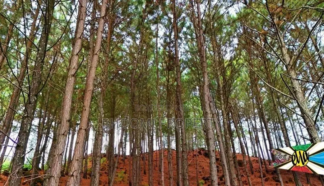 land for sale in kithal ella
