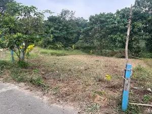 Super Land for Sale Piliyandala