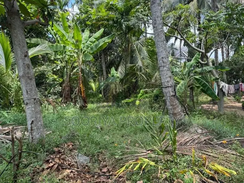 63 Perches Superb Land for Sale in Piliyandala Kesbewa