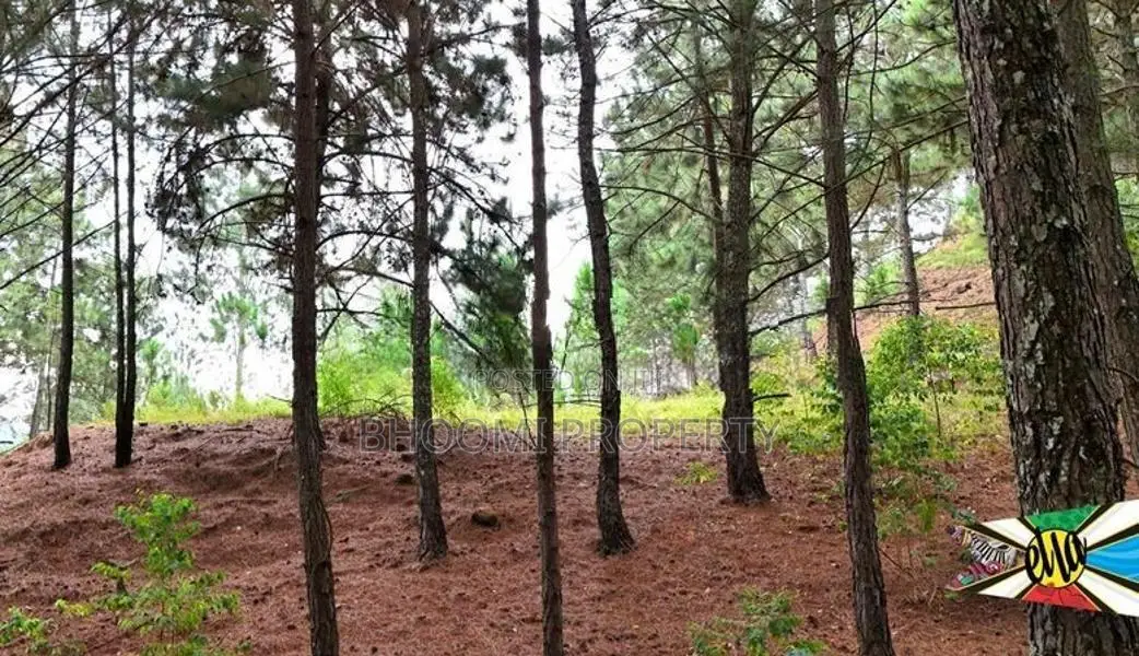 land for sale in kithal ella