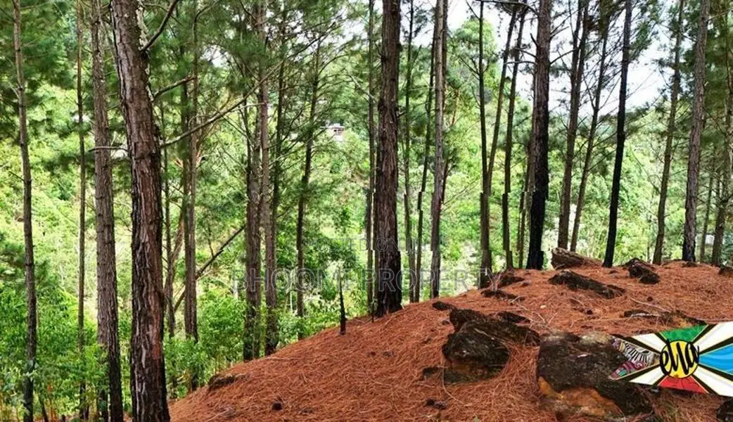 land for sale in kithal ella