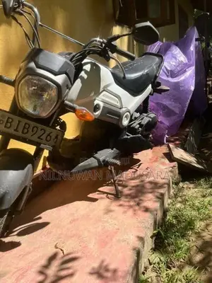 Honda Navi 2018