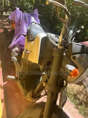 Honda Navi 2018