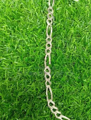 Silver Chain