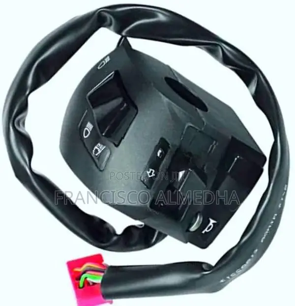 Bajaj Pulsar 135 Switch Set