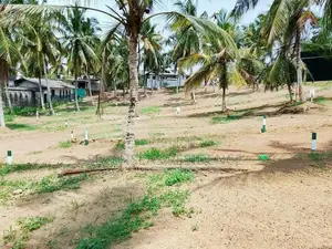 කහතුඩුවෙන් හොදම ඉඩම