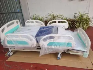 Five Function Electric Beds with Sanitory