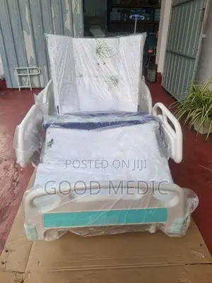 Five Function Electric Beds with Sanitory