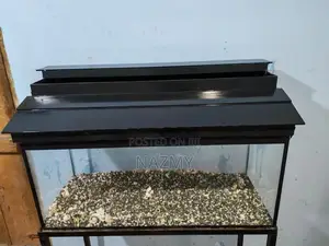 Fish Tank