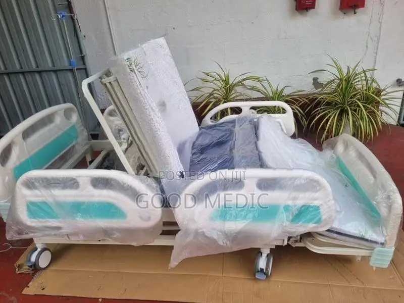 Five Function Electric Beds with Sanitory