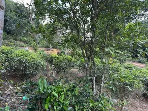 ගාල්ල පින්න දුව අධිවේගී පිවිසුම අතේ දුරින් පදිංචි වෙන්න