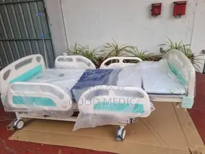 Five Function Electric Beds with Sanitory