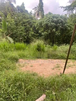 Land For Sale Beliaththa