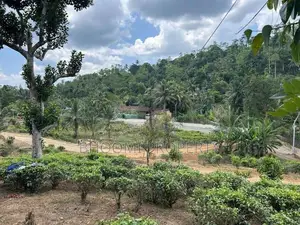ගාල්ල අධිවේගී පිවිසුමට ළඟින්ම ජයන්ති හන්දිය අසලින් බිම් කොටස්