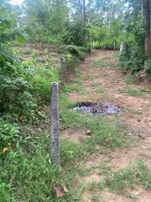 Land For Sale Beliaththa