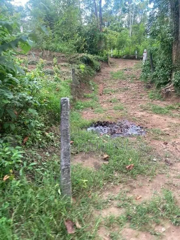 Land For Sale Beliaththa