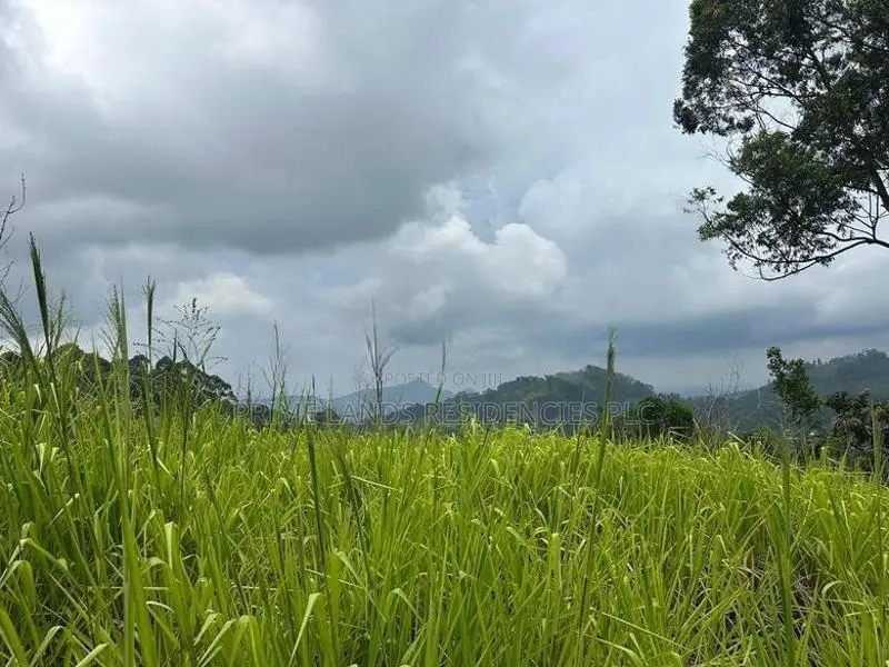 Lands for sale in Pussellawa
