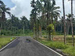 Coconut Land for Sale in Homagama