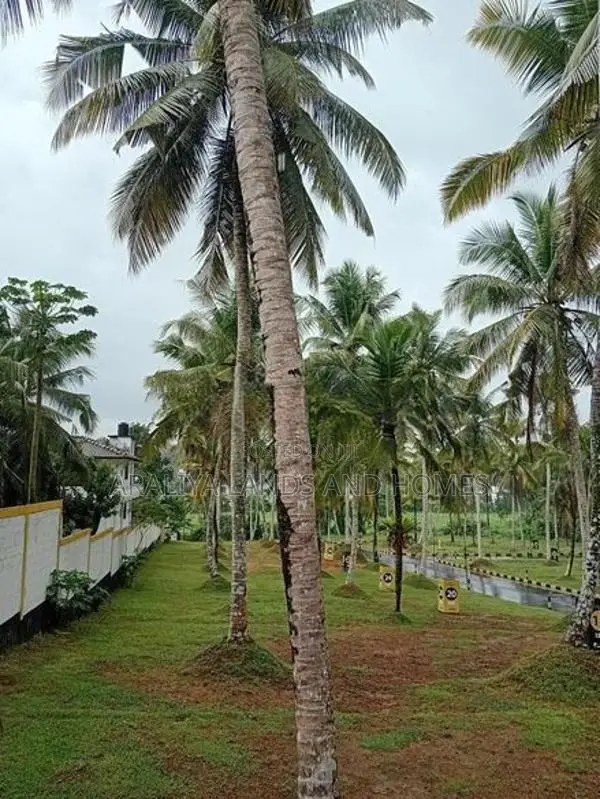Land Close to Homagama