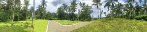 Mirigama දිවුලපිටියට පාරට 800mක දුරින් බිම්කොටසක් විකිණීමට