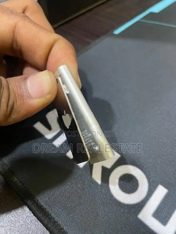 Apple iPod