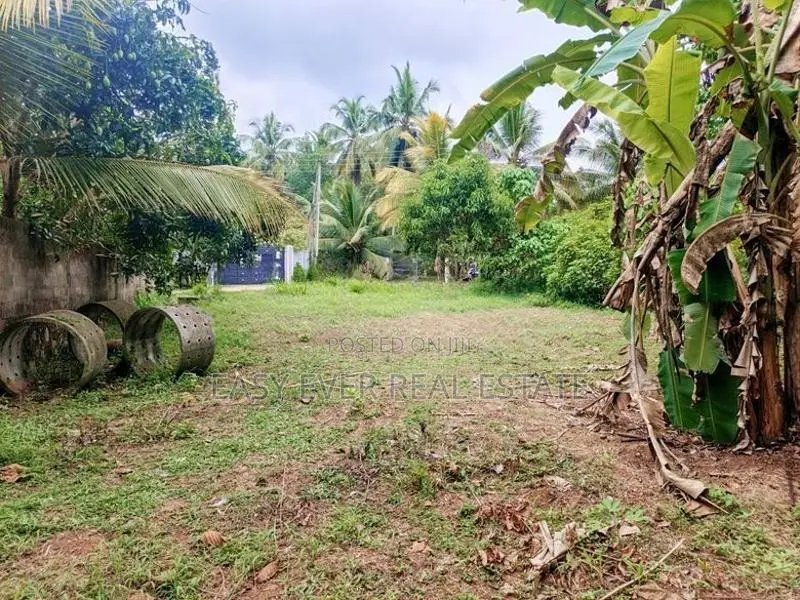 කලගෙඩිහේන – දෙල්ගහමුල හන්දියෙන් සුපිරි තැනිතලා ඉඩමක්