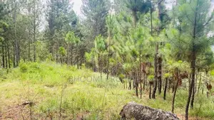 Land for sale in Kithalella