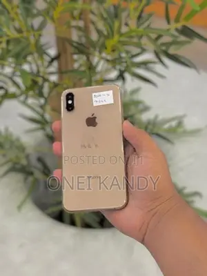 Apple iPhone XS 256GB (Used)