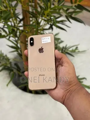Apple iPhone XS 256GB (Used)
