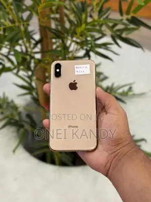 Apple iPhone XS 256GB (Used)