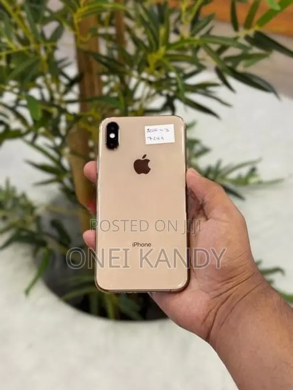 Apple iPhone XS 256GB (Used)
