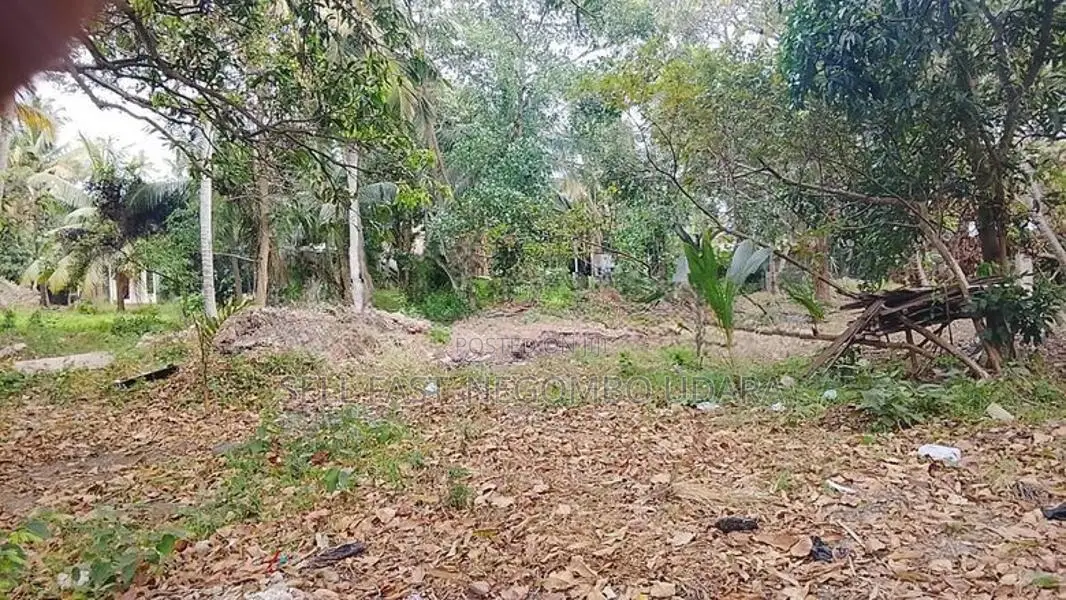 Land for sale on Negombo-Kattuwa