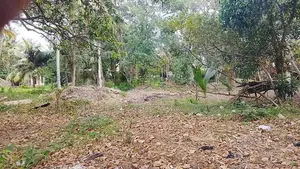 Land for sale on Negombo-Kattuwa