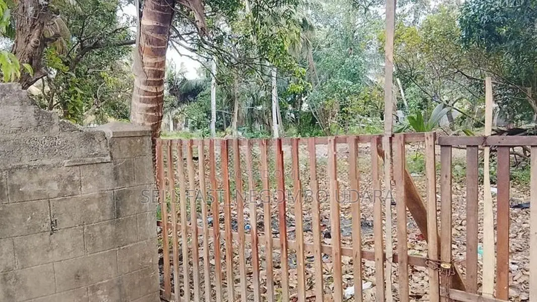 Land for sale on Negombo-Kattuwa