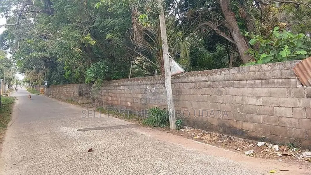 Land for sale on Negombo-Kattuwa