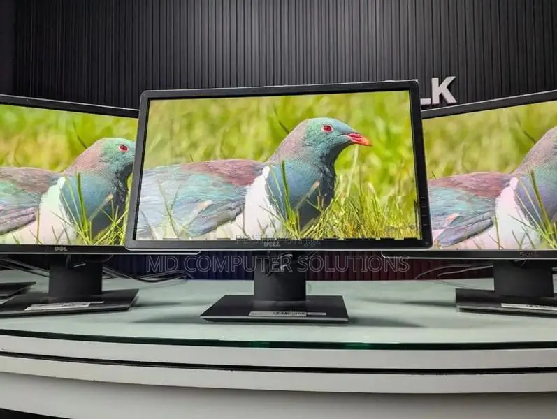 22 Inch Full HD IPS LED Silver Line Used Dell Monitor