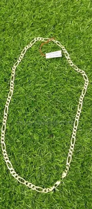 Silver Chain