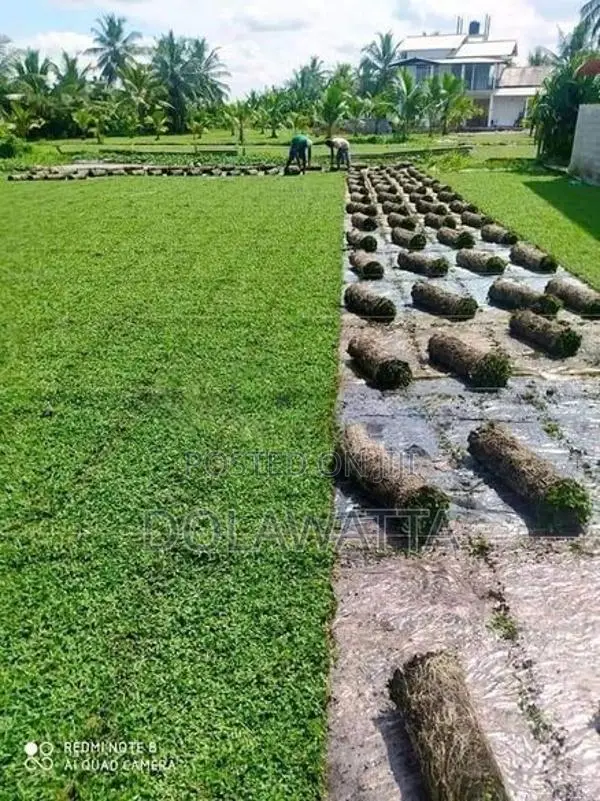 Malaysian Grass Pidali / Carpet