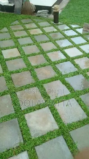Malaysian Grass Pidali / Carpet