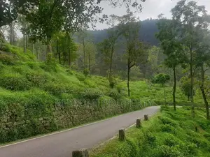 land in haputhale idalgashinna