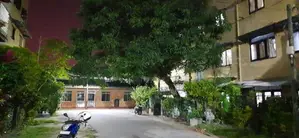 Apartment for Sale in Colombo 6 ( File Number 2253 B/2 )
