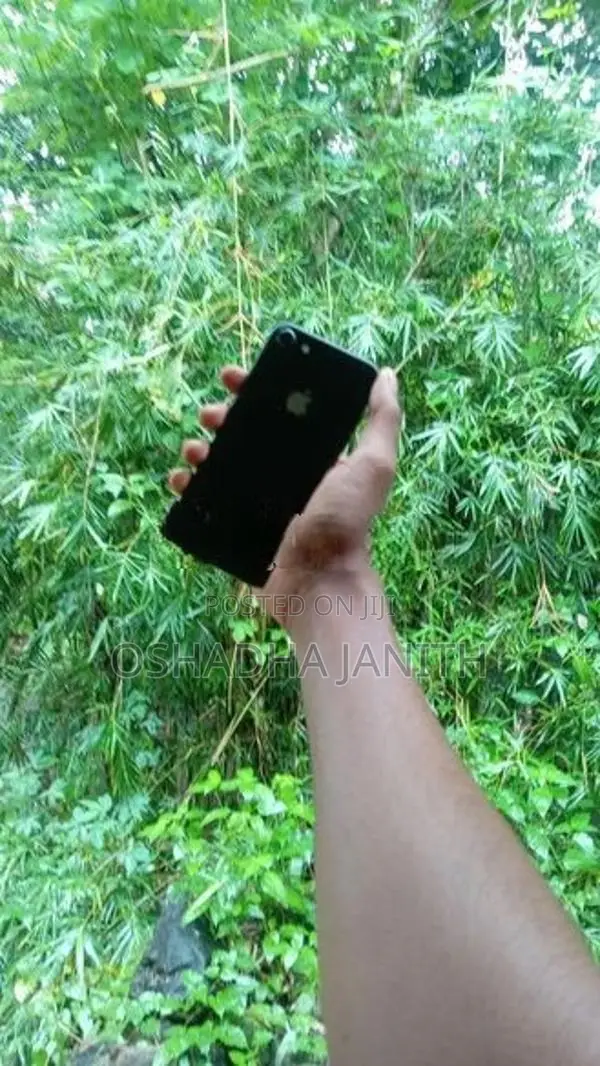 Apple iPhone 7 (Used)