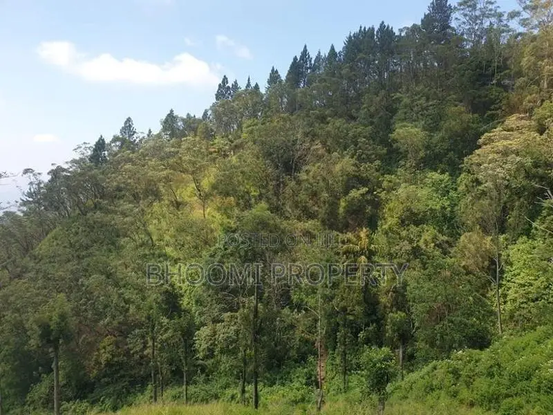 land in haputhale idalgashinna