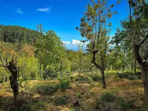 ඉදල්ගසහින්නෙන් සුන්දර දසුන් සහිත් නේවාසික බිම්කොටස්