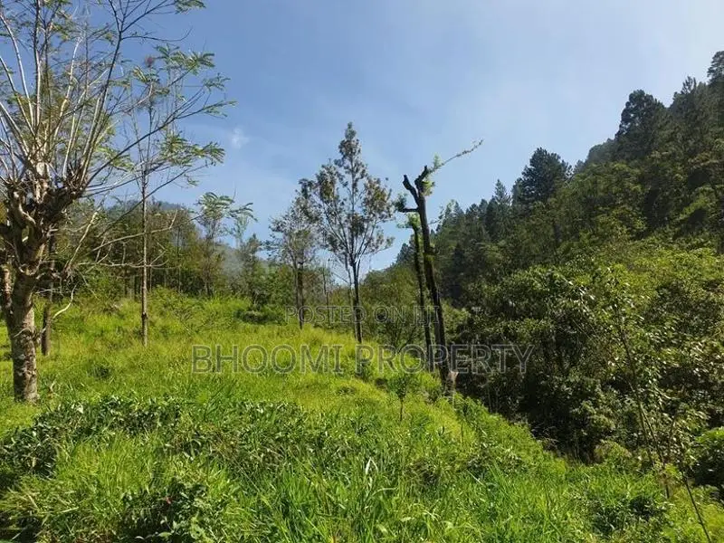 land in haputhale idalgashinna